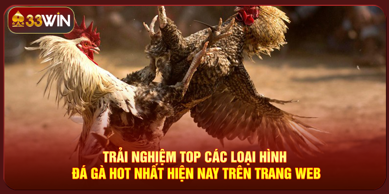 Đá Gà 33Win